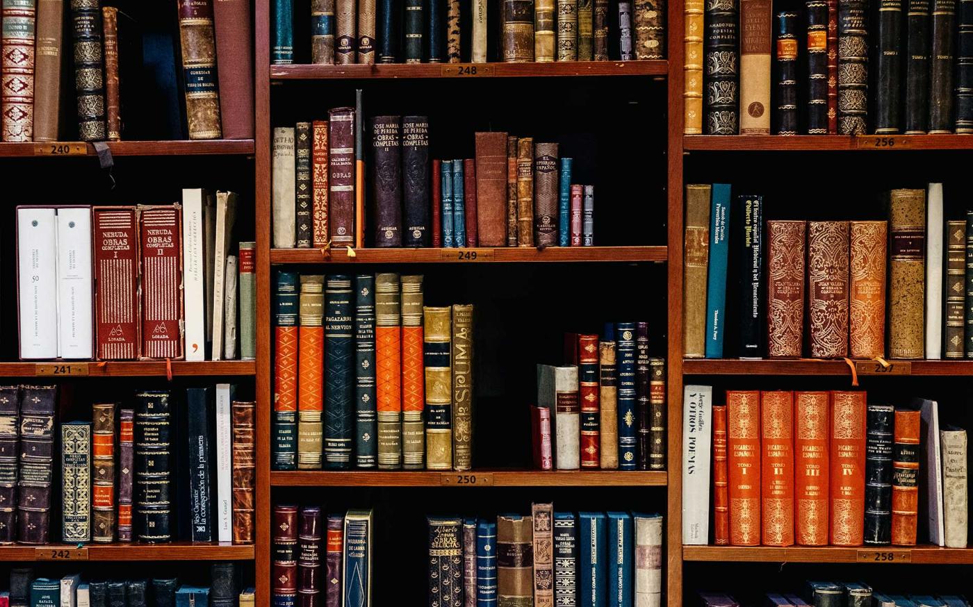 Books on shelves.