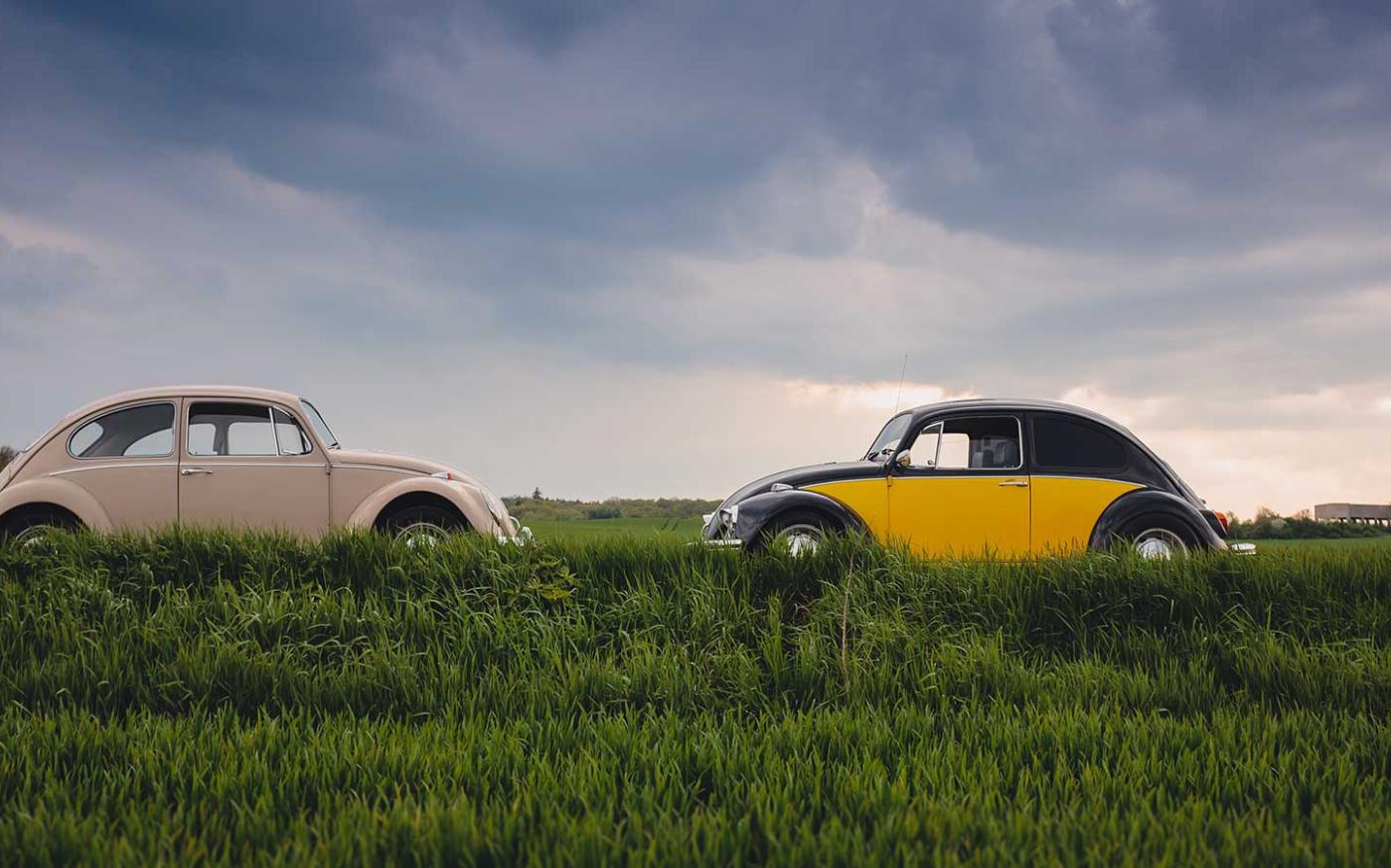 Two Volkswagen beetles in a field. 